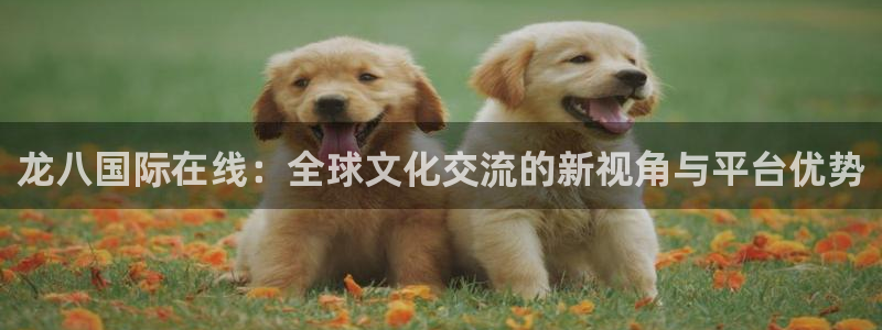 开丰娱乐官网版下载链接：龙八国际在线：全球文化交流的新视角与平台优势