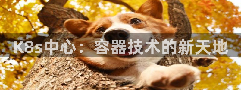 佛山市南海开丰娱乐机电仪器有限公司：K8s中心：容器技术的新天地