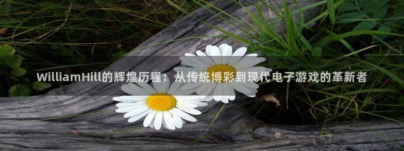 开丰娱乐平台：WilliamHill的辉煌历程：从传统博彩到现代电子游戏的革新者