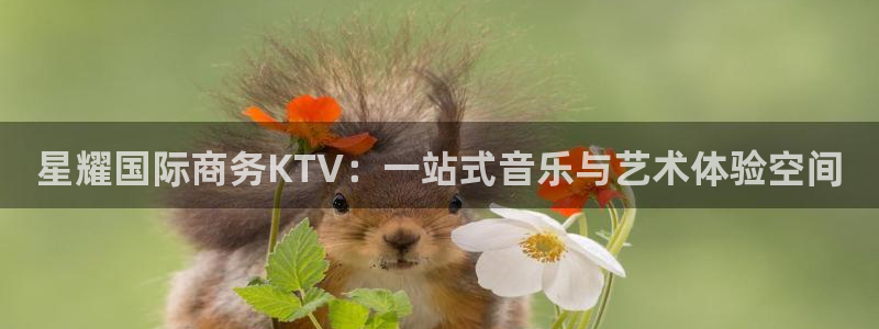 苹果版开丰娱乐下载安装：星耀国际商务KTV：一站式音乐与艺术体验空间