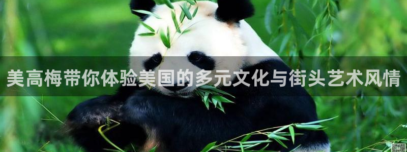 开丰娱乐4：美高梅带你体验美国的多元文化与街头艺术风情