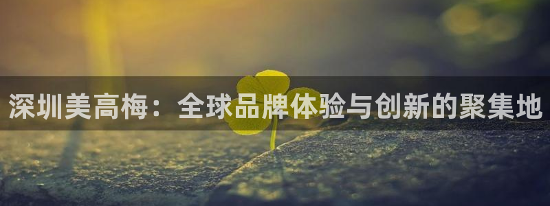 开丰娱乐平台注册：深圳美高梅：全球品牌体验与创新的聚集地
