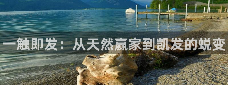 上海开丰娱乐汽车电子有限公司：一触即发：从天然赢家到凯发的蜕变