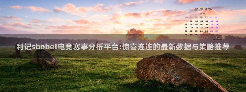 pg开丰娱乐平台下载入口：利记sbobet电竞赛事分析平台:惊喜连连的最新数据与