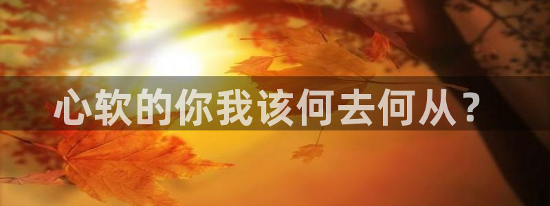 开丰娱乐体育论坛：心软的你我该何去何从？