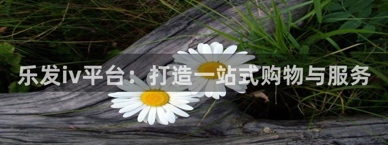 开丰娱乐登录界面入口：乐发iv平台：打造一站式购物与服务