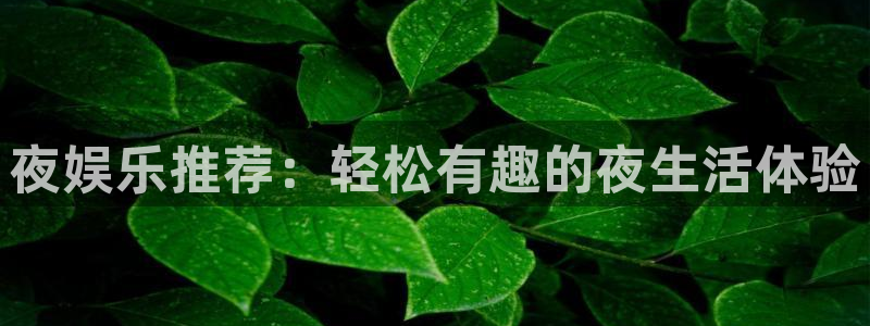 开丰娱乐注册链接入口：夜娱乐推荐：轻松有趣的夜生活体验