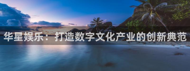 www.开丰娱乐体育.com：华星娱乐：打造数字文化产业的创新典范