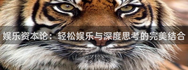 开丰娱乐网站平台登录：娱乐资本论：轻松娱乐与深度思考的完美结合