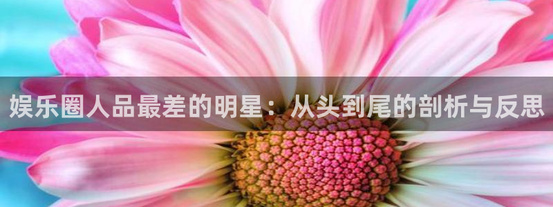 开丰娱乐2体育：娱乐圈人品最差的明星：从头到尾的剖析与反思