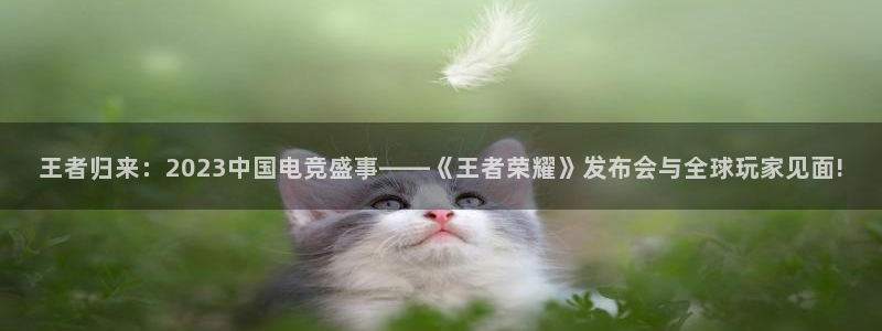 开丰娱乐ccmpc：王者归来：2023中国电竞盛事——《王者荣耀》发布会与全球玩