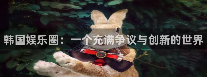 开丰娱乐体育用品：韩国娱乐圈：一个充满争议与创新的世界