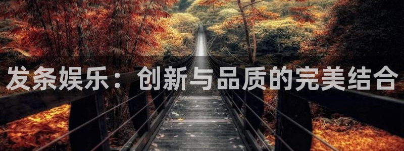 开丰娱乐加拿大在线预测：发条娱乐：创新与品质的完美结合