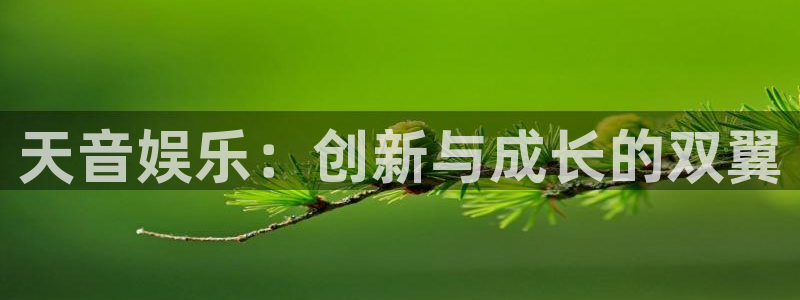 开丰娱乐体育免费注册入口：天音娱乐：创新与成长的双翼