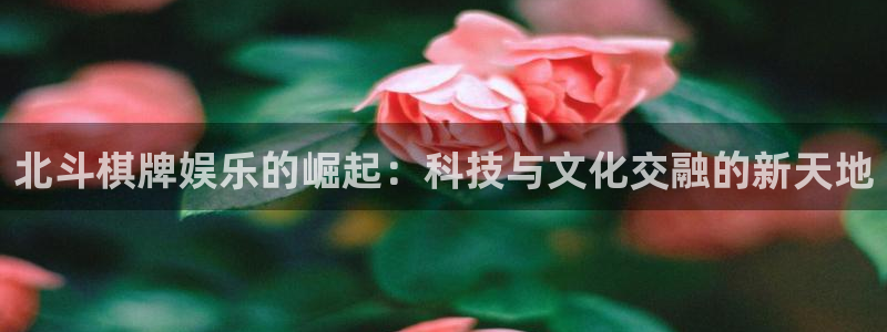 开丰娱乐pg电子游戏在线玩：北斗棋牌娱乐的崛起：科技与文化交融的新天地