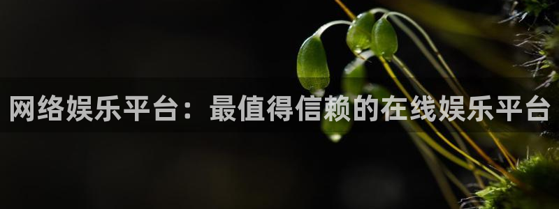 开丰娱乐平台在线注册：网络娱乐平台：最值得信赖的在线娱乐平台