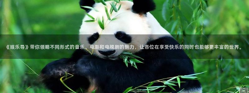 开丰娱乐体育2：《娱乐导》带你领略不同形式的音乐、电影和电视剧的魅力，让各位在享