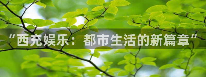 开丰娱乐k：“西充娱乐：都市生活的新篇章”