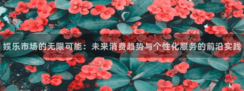 开丰娱乐注册登录入口：娱乐市场的无限可能：未来消费趋势与个性化服务的前沿实践