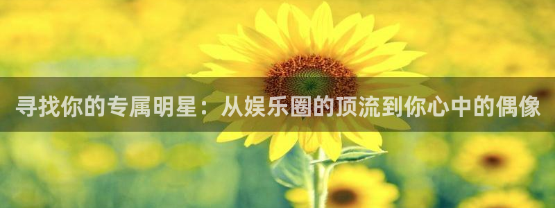 佛山市南海开丰娱乐机电仪器有限公司：寻找你的专属明星：从娱乐圈的顶流到你心中的偶