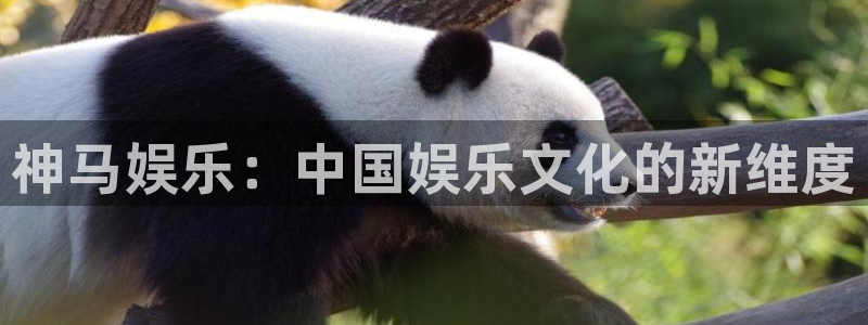 开丰娱乐平台官网版最新：神马娱乐：中国娱乐文化的新维度