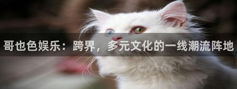 开丰娱乐体育官网登录：哥也色娱乐：跨界，多元文化的一线潮流阵地