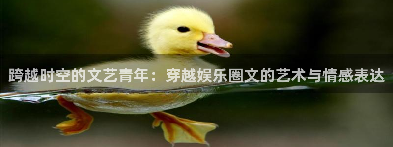 开丰娱乐注册网页版：跨越时空的文艺青年：穿越娱乐圈文的艺术与情感表达