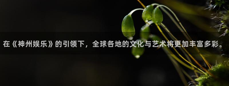 开丰娱乐游戏试玩：在《神州娱乐》的引领下，全球各地的文化与艺术将更加丰富多彩。