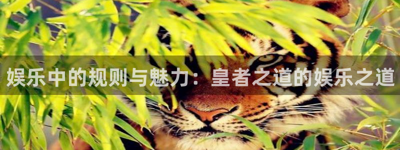 开丰娱乐.ccmpc登录：娱乐中的规则与魅力：皇者之道的娱乐之道