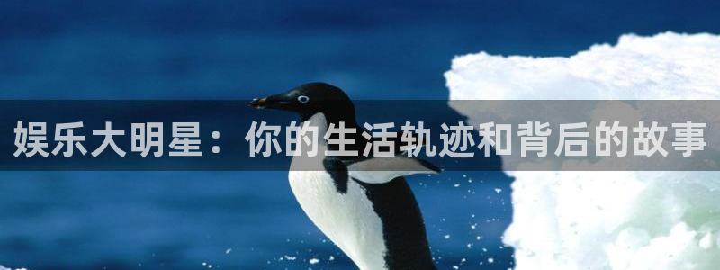 开丰娱乐官网版：娱乐大明星：你的生活轨迹和背后的故事