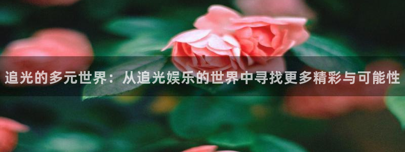 开丰娱乐网站平台登录：追光的多元世界：从追光娱乐的世界中寻找更多精彩与可能性