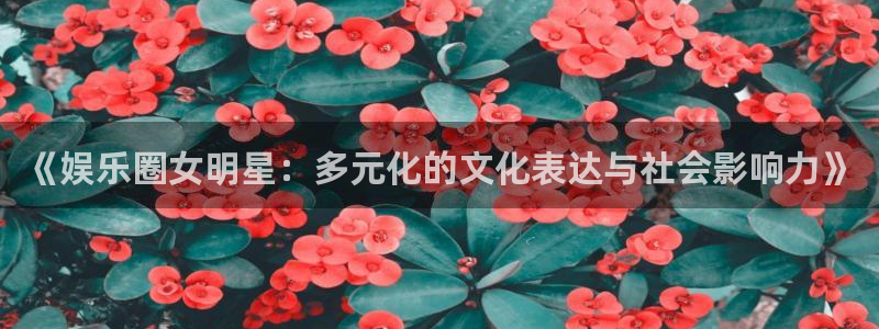 开丰娱乐体育凯捷平台注册：《娱乐圈女明星：多元化的文化表达与社会影响力》