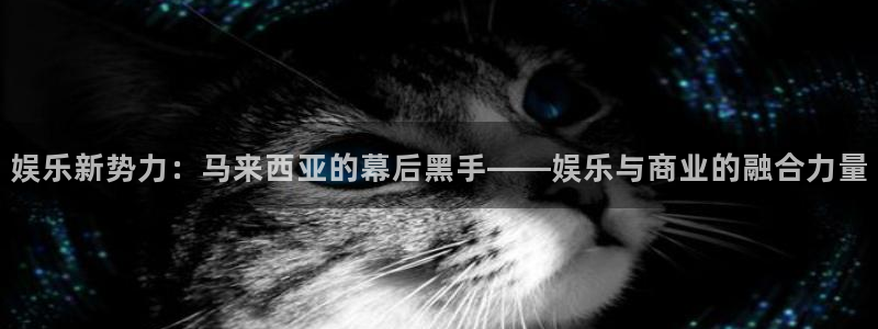 开丰娱乐官网：娱乐新势力：马来西亚的幕后黑手——娱乐与商业的融合力量