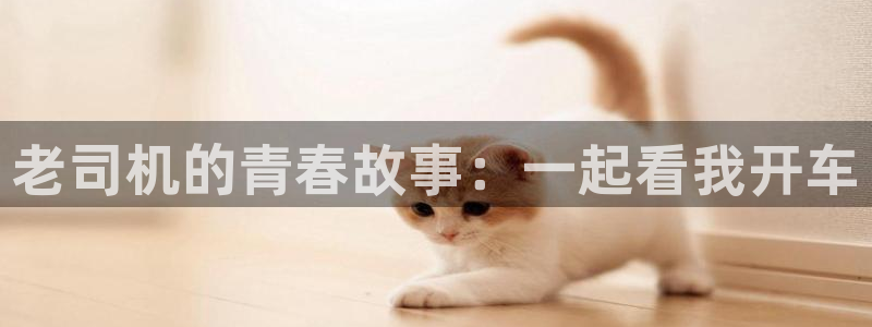 佛山市南海开丰娱乐机电仪器有限公司：老司机的青春故事：一起看我开车