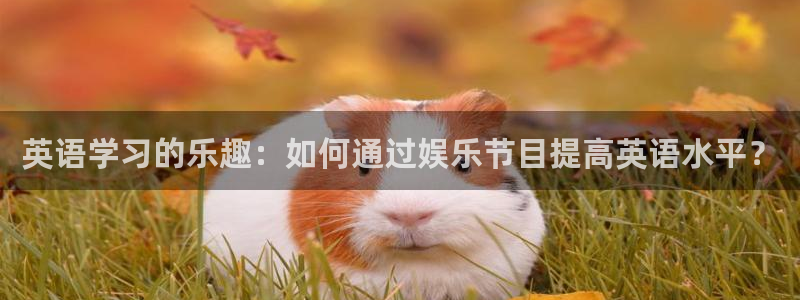开丰娱乐平台最新版本下载：英语学习的乐趣：如何通过娱乐节目提高英语水平？