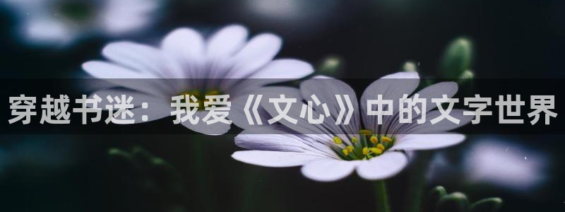 开丰娱乐体育f开号：穿越书迷：我爱《文心》中的文字世界