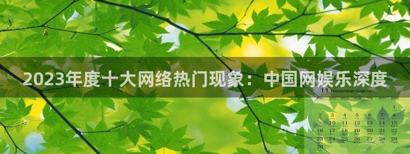 开丰娱乐凯捷注册：2023年度十大网络热门现象：中国网娱乐深度