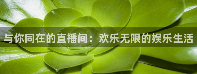 开丰娱乐f凯捷平台在线注册：与你同在的直播间：欢乐无限的娱乐生活